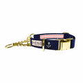 Brandywines Time Anchors Away nautical dog collar with gold buckle and martingale design, suitable for medium-sized dogs.