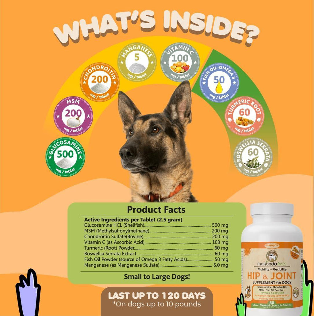 Dog hip and joint supplement with glucosamine, turmeric, chondroitin, and MSM from Brandywines Time for joint support.
