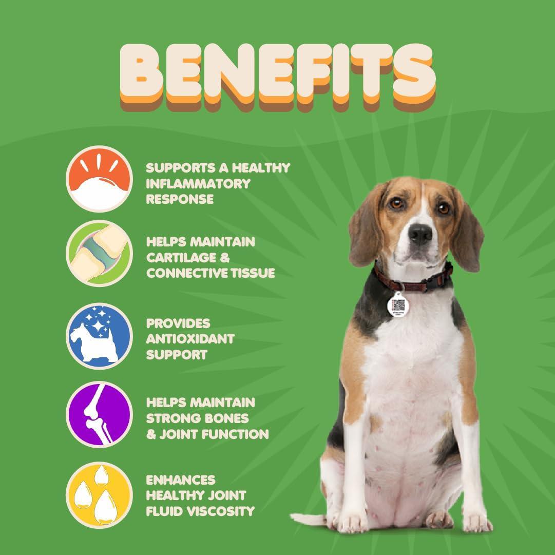Dog hip and joint supplement by Brandywines Time with glucosamine, turmeric, chondroitin, and MSM for mobility support.