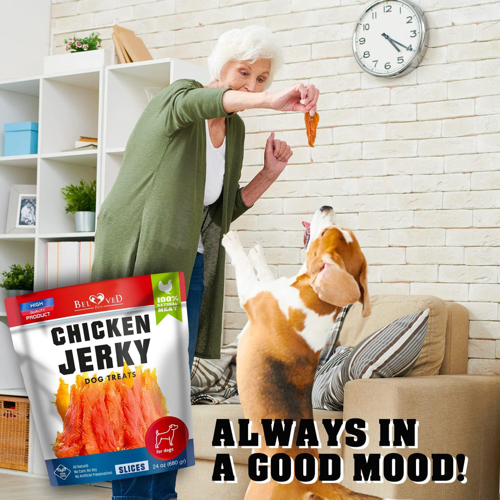 Brandywines Time chicken jerky dog treats in 1.5 lb bag, grain-free organic meat, human-grade pet snacks, natural dog treats
