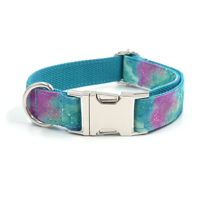 Blue durable dog collar with traction belt from Brandywines Time, showing adjustable strap and sturdy design for outdoor use.