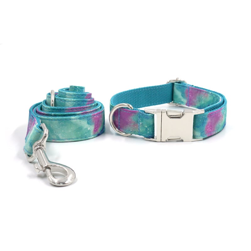 Blue Brandywines Time durable dog collar with traction belt, adjustable for large dogs, designed for outdoor and foreign trade use.