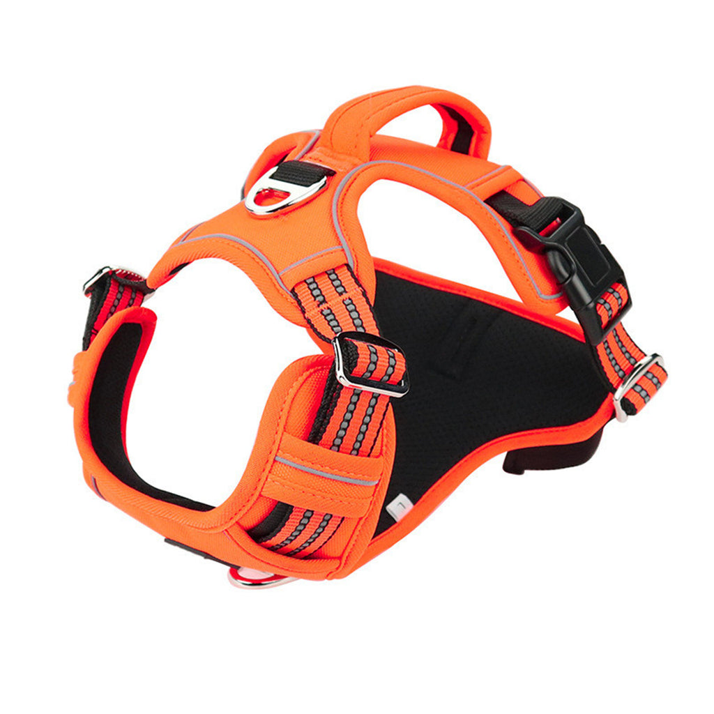 Black waterproof dog harness with vertical handle by Brandywines Time, designed for durability and secure control.