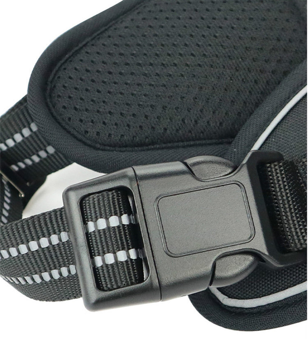 Black Brandywines Time waterproof dog harness with vertical handle, adjustable for small dogs, durable and comfortable for walks.