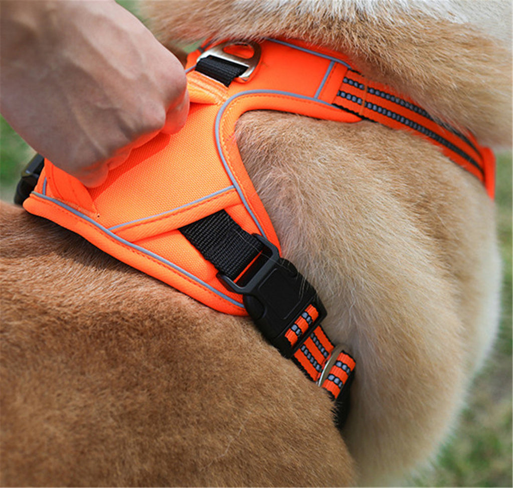 Black waterproof dog harness with vertical handle by Brandywines Time, featuring adjustable straps for secure pet control.