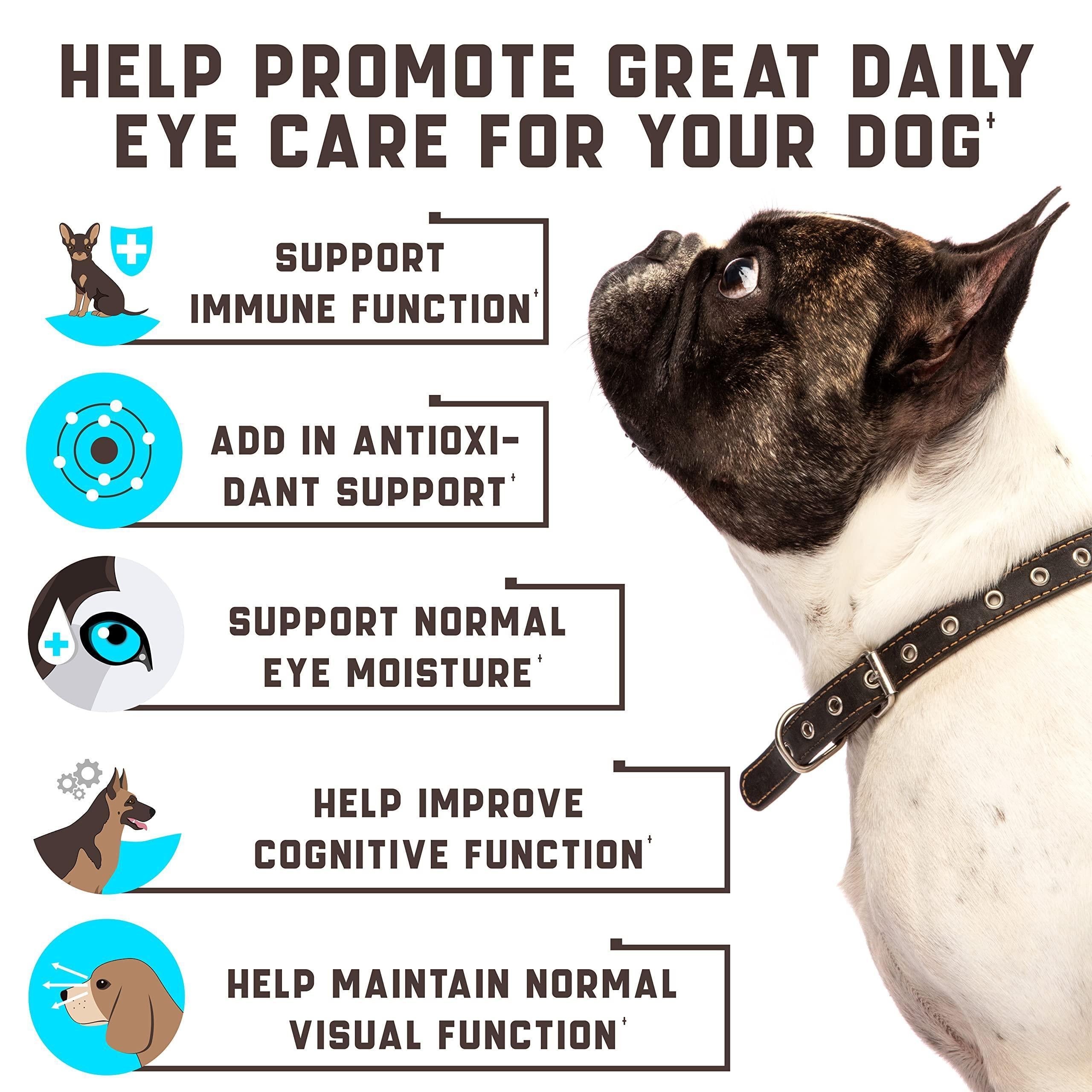 Brandywines Time dog eye vitamins supplement for tear stains, featuring duck flavor, designed to support canine eye health and care.