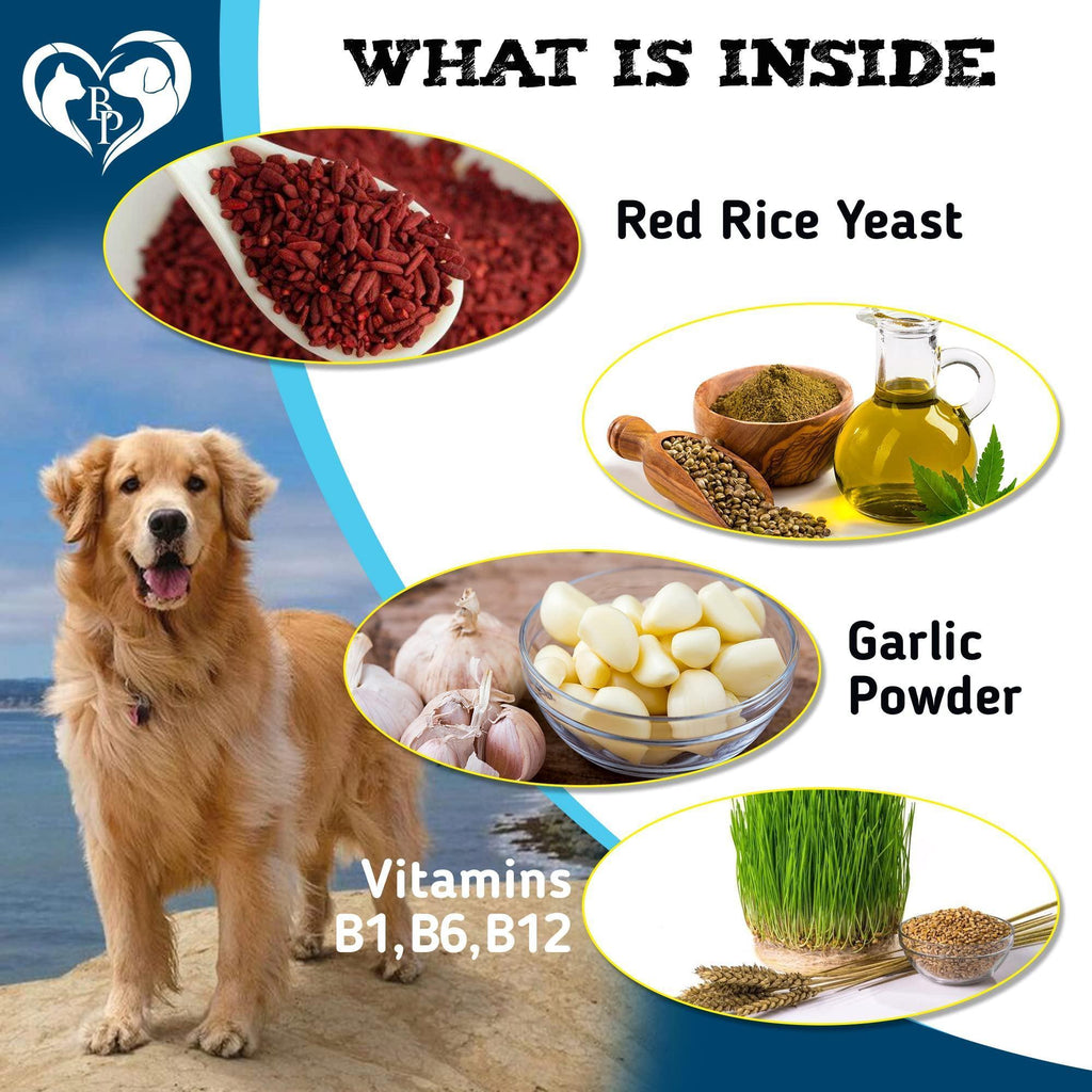 Brandywines Time insect prevention chewable pills for dogs and cats, small tablets in pet supplies packaging.