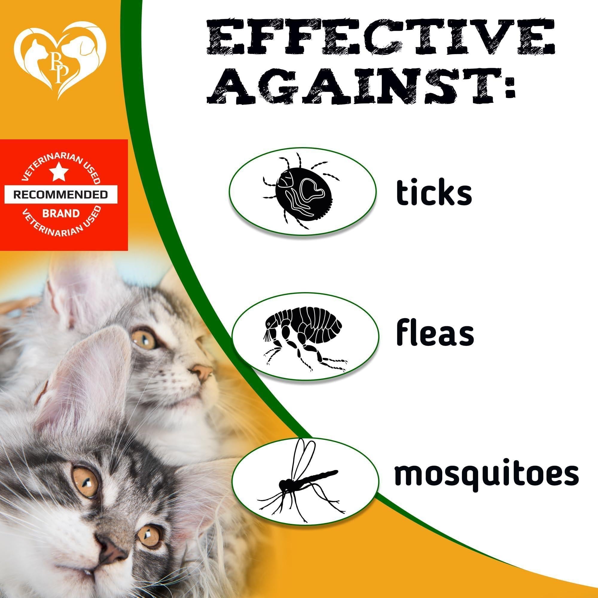 Brandywines Time insect prevention chewable pills for dogs and cats, pet pest control supplement with natural ingredients.