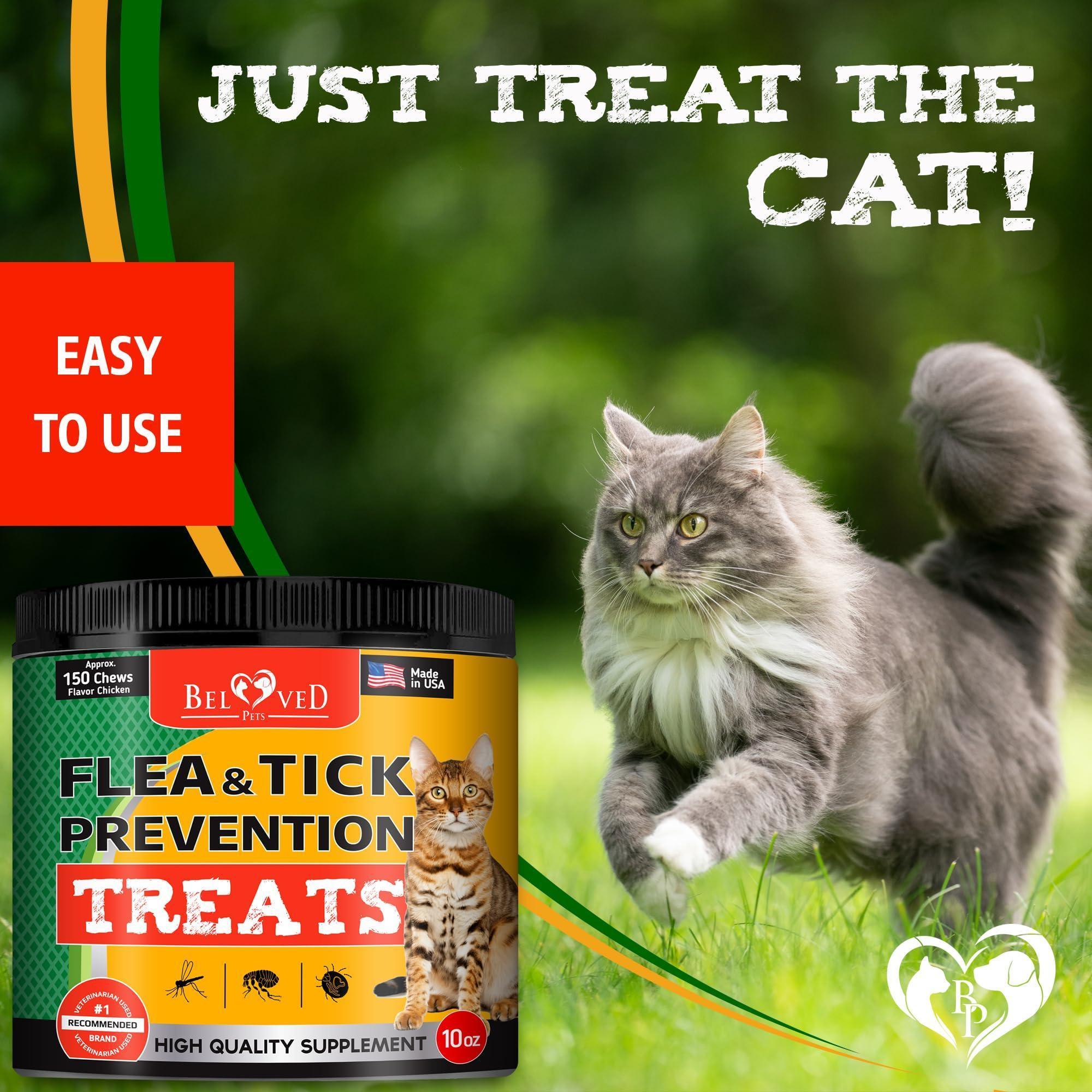 Brandywines Time insect prevention chewable pills for dogs and cats, pet pest control supplement with natural ingredients.