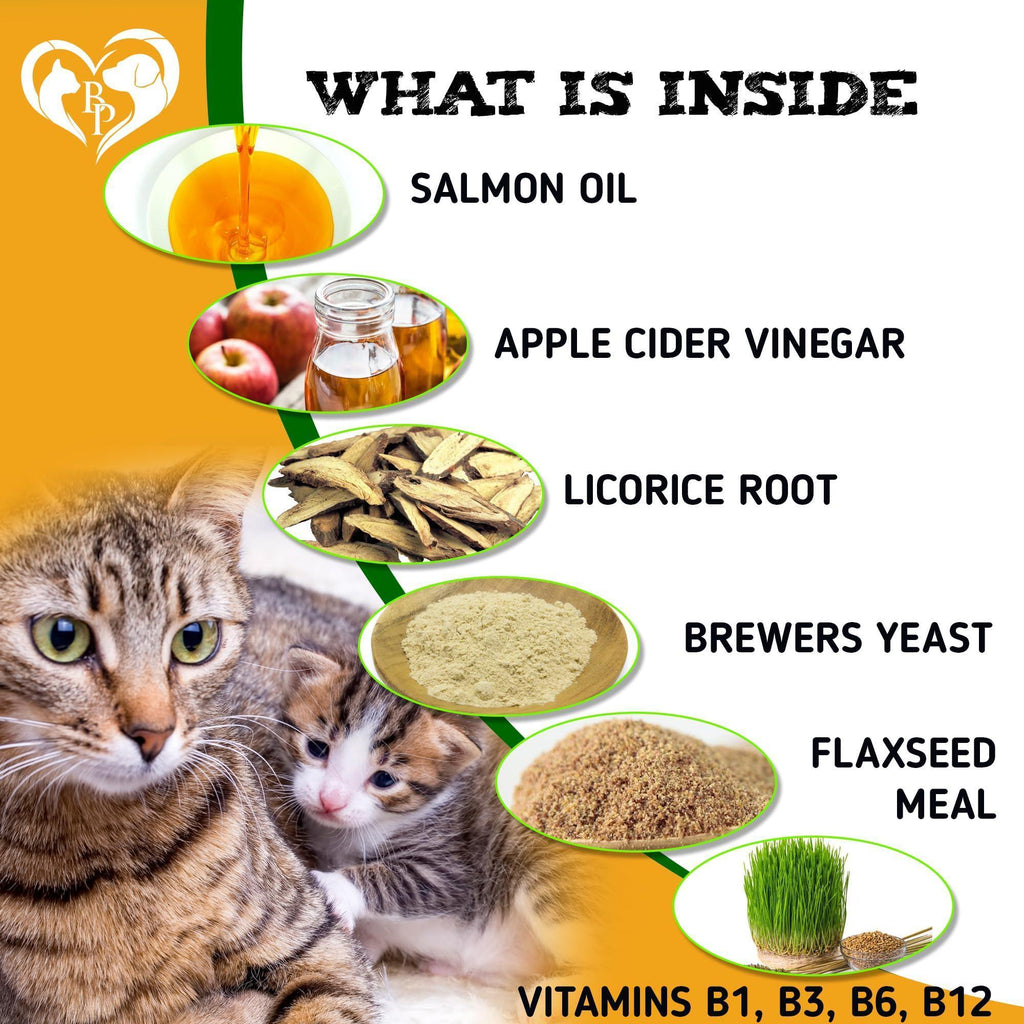 Brandywines Time insects prevention chewable pills for dogs and cats, pet pest control supplement, natural insect protection for pets.