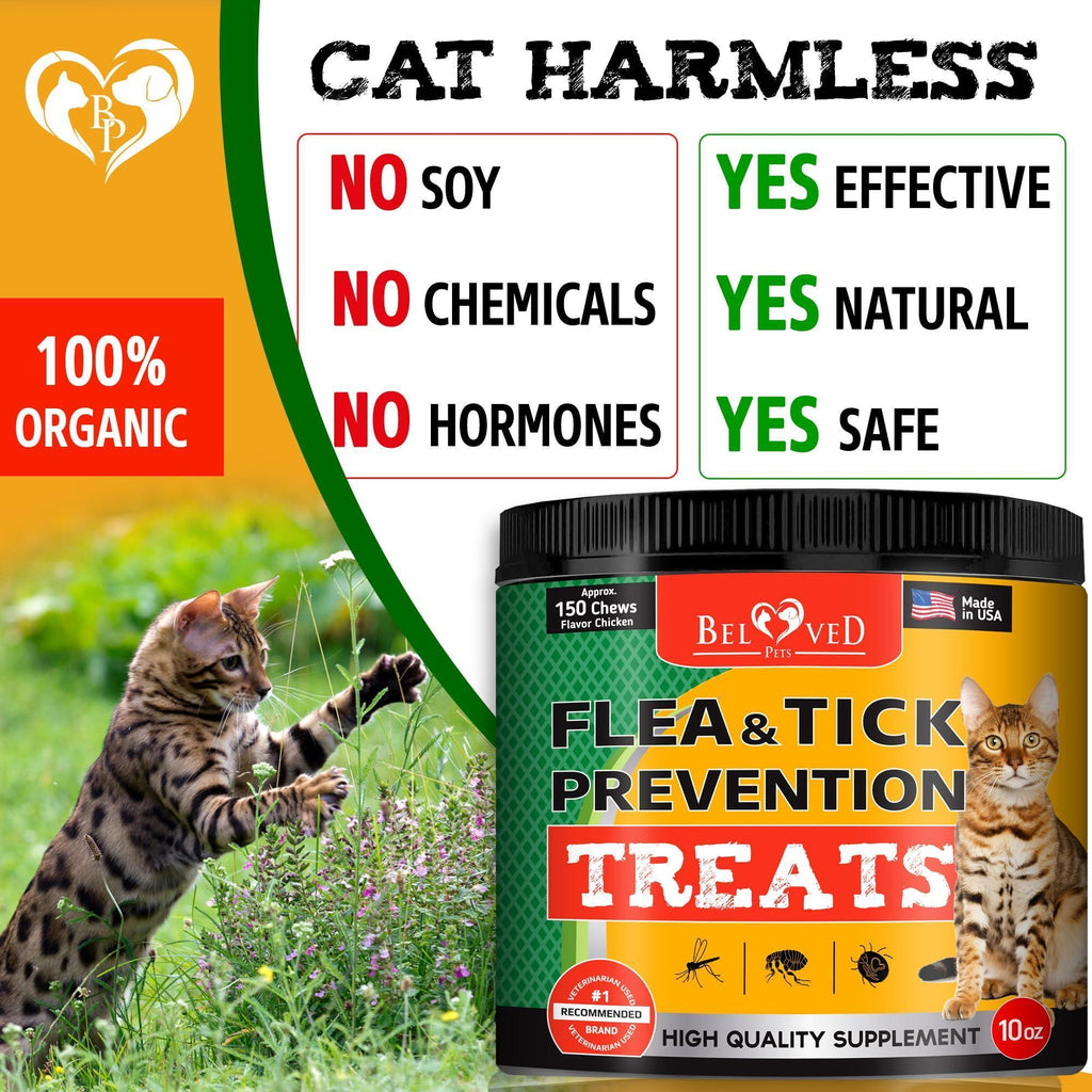 Brandywines Time insect prevention chewable pills for dogs and cats, pet pest control supplement with natural ingredients.