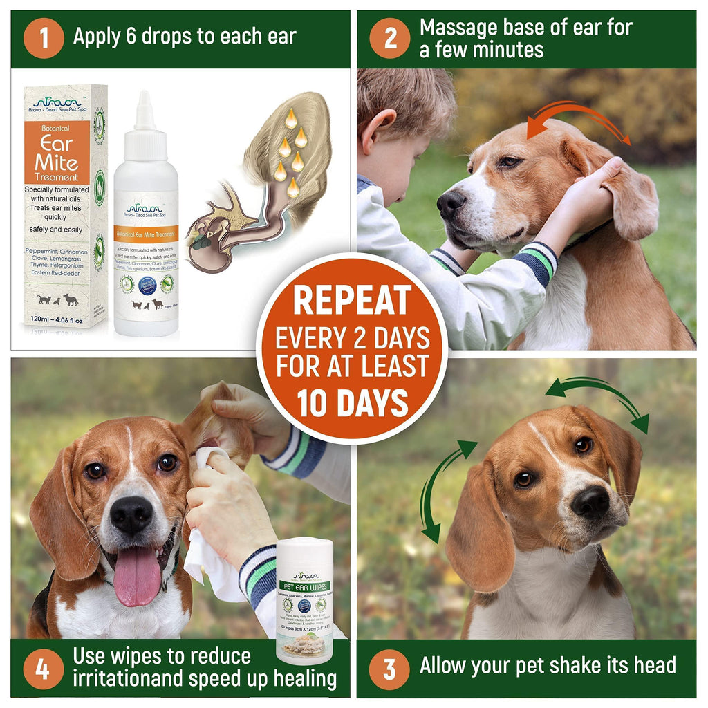 Brandywines Time natural ear mite treatment for dogs and cats, showing bottle and applicator for pet ear mite infection relief.