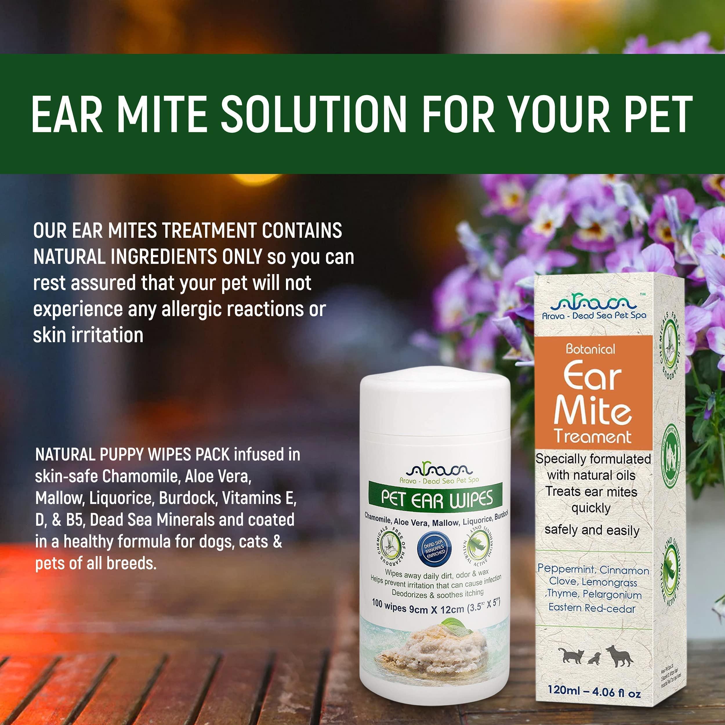 Brandywines Time natural pet ear mite treatment for dogs and cats, shown in a bottle with applicator for ear infection relief.