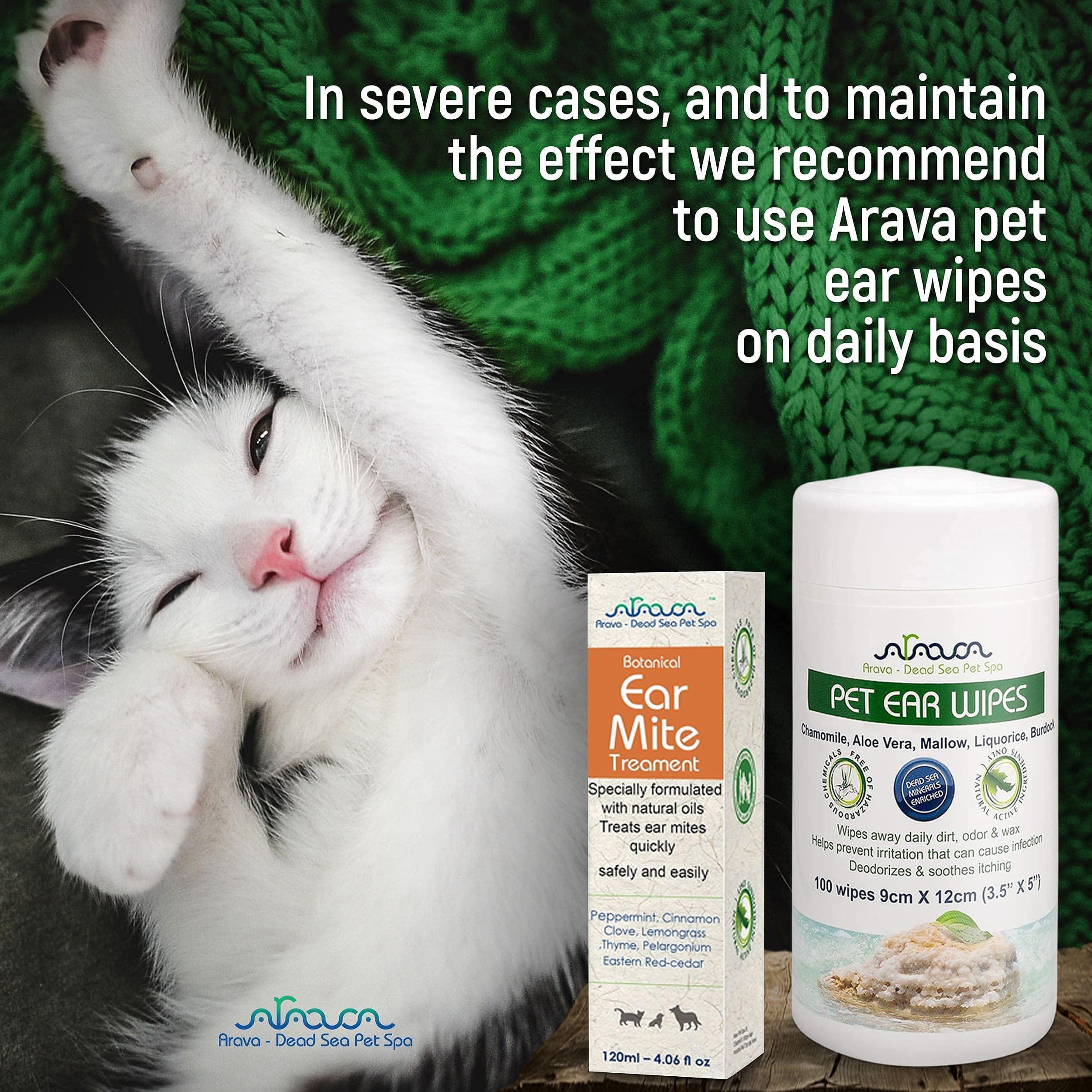 Brandywines Time pet ear mite treatment for dogs and cats, natural solution for ear mite infection, cleaning and relief.