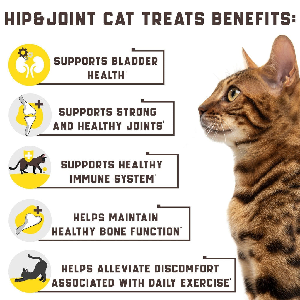 Natural cat glucosamine supplement by Brandywines Time, supporting joint health in cats with effective pet joint care.