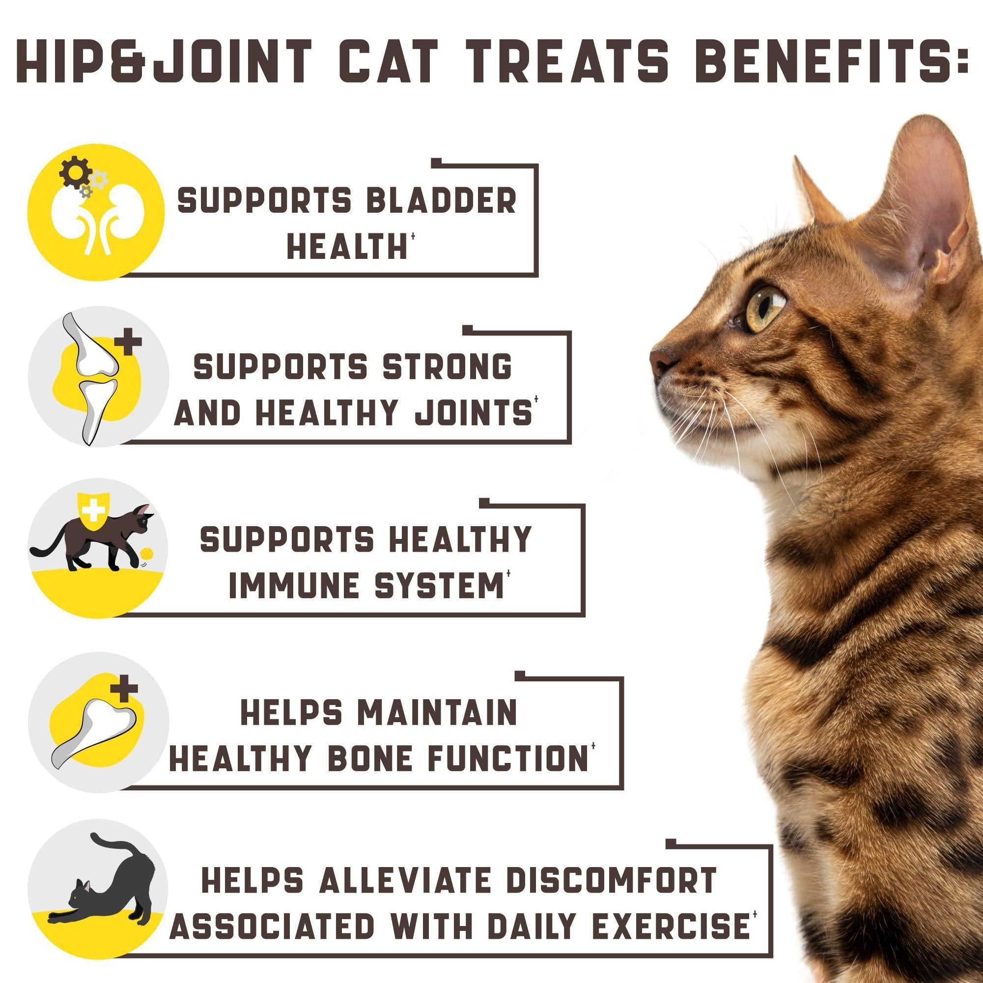 Natural cat glucosamine supplement by Brandywines Time, supporting joint health in cats with effective pet joint care.