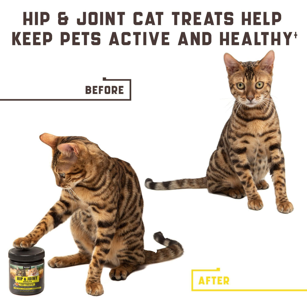Natural cat glucosamine supplement by Brandywines Time, effective joint support for cats, in a pet supplies product image.