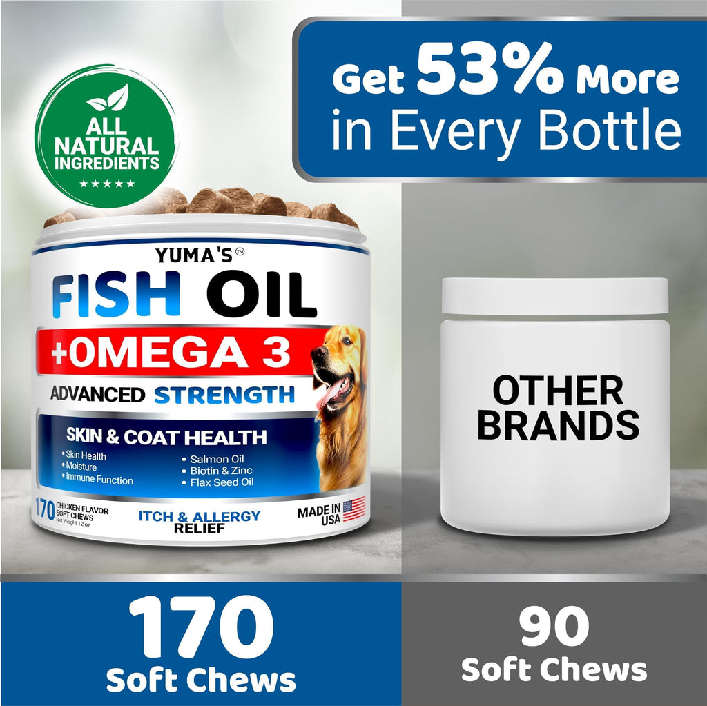 Brandywines Time Omega 3 fish oil chews for dogs, promoting healthy skin and shiny coat, shown in a container of 170 chew treats.