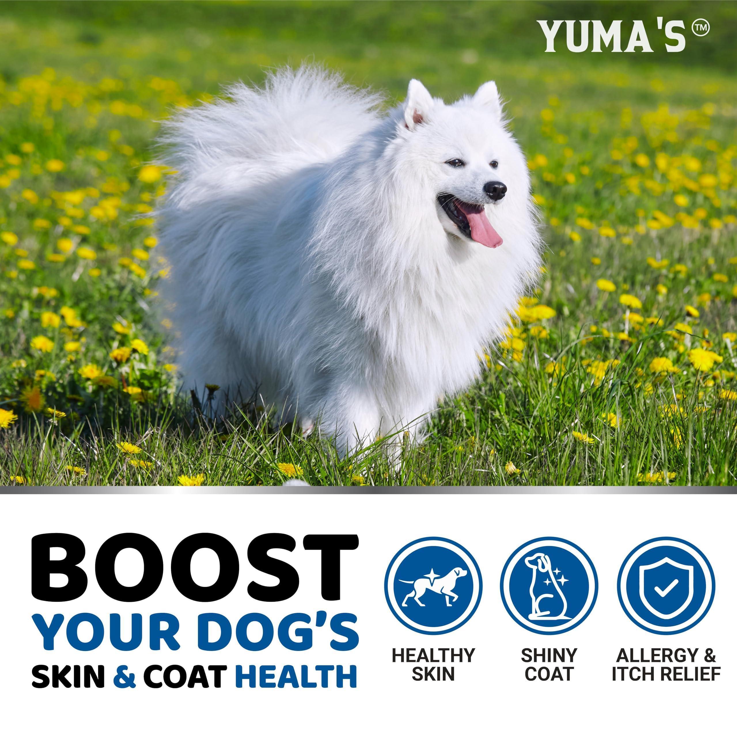 Brandywines Time Omega 3 fish oil chews for dogs to promote healthy skin and shiny coat, shown in a container with 170 chews.