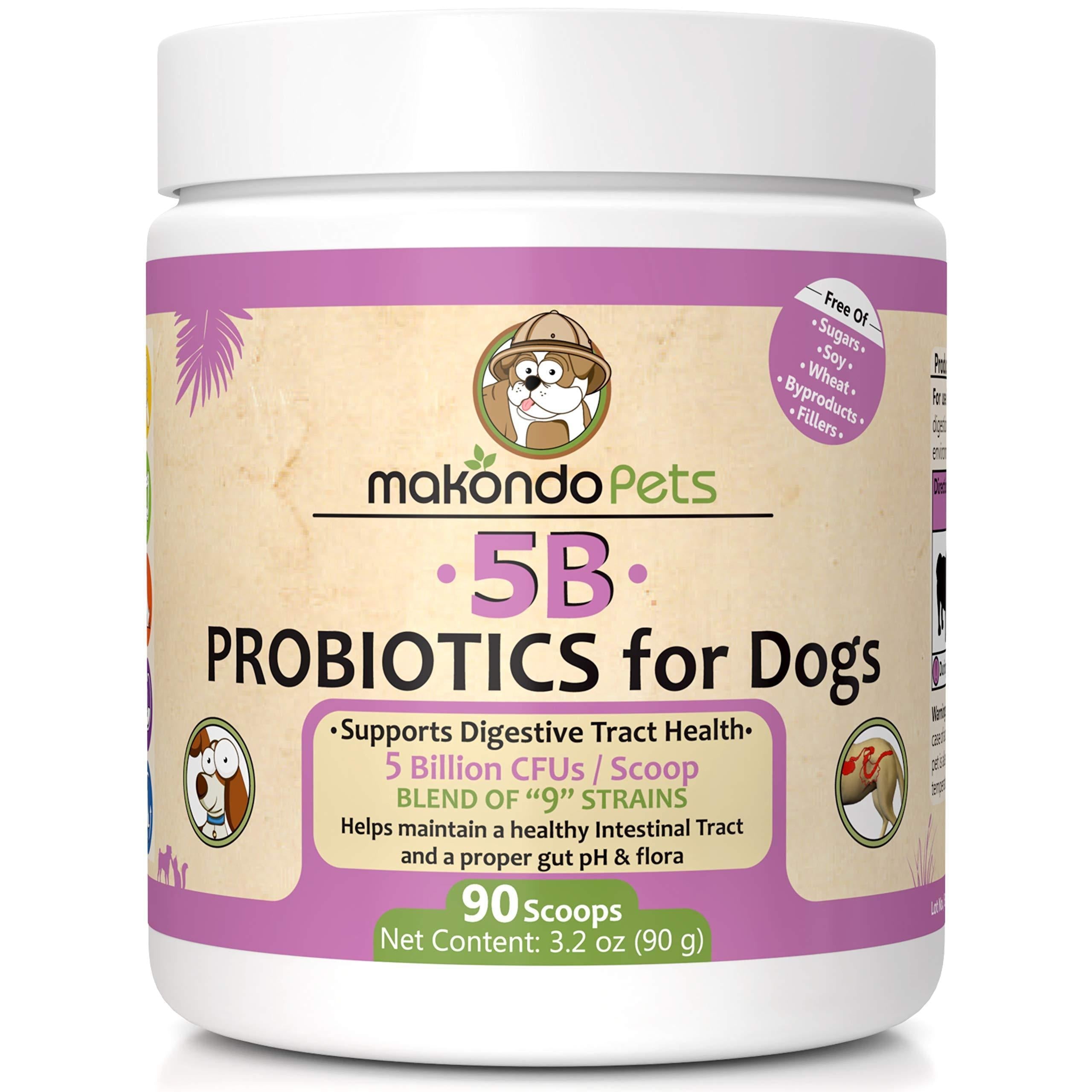 Dog probiotic powder for puppies by Brandywines Time, featuring 5 billion CFU and 9 strains for digestive health.