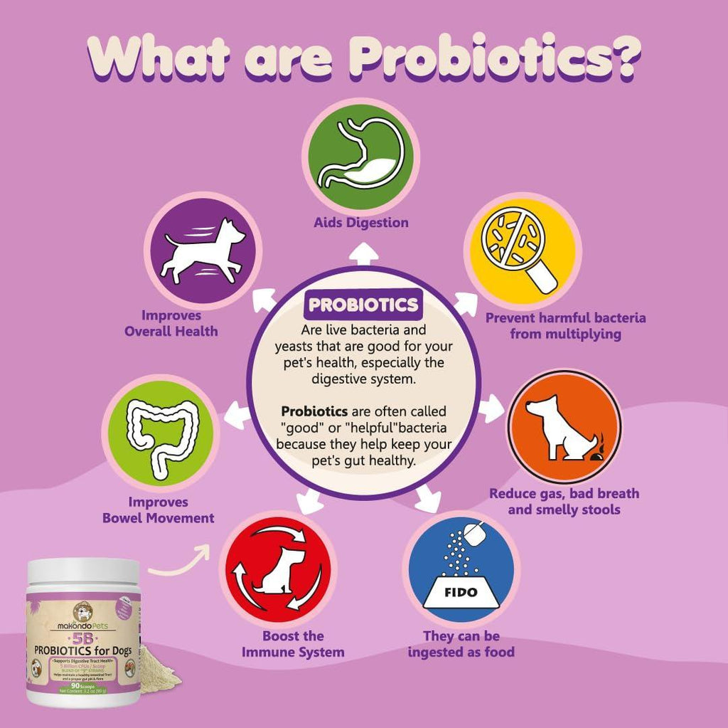 Brandywines Time probiotic powder for puppies with 5 billion CFU and 9 strains to support digestive health in pet supplies.