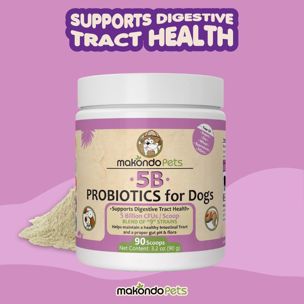Brandywines Time Dog Probiotic Powder for Puppies with 5 Billion CFU and 9 strains, shown in scoop with powder for pet digestive health.