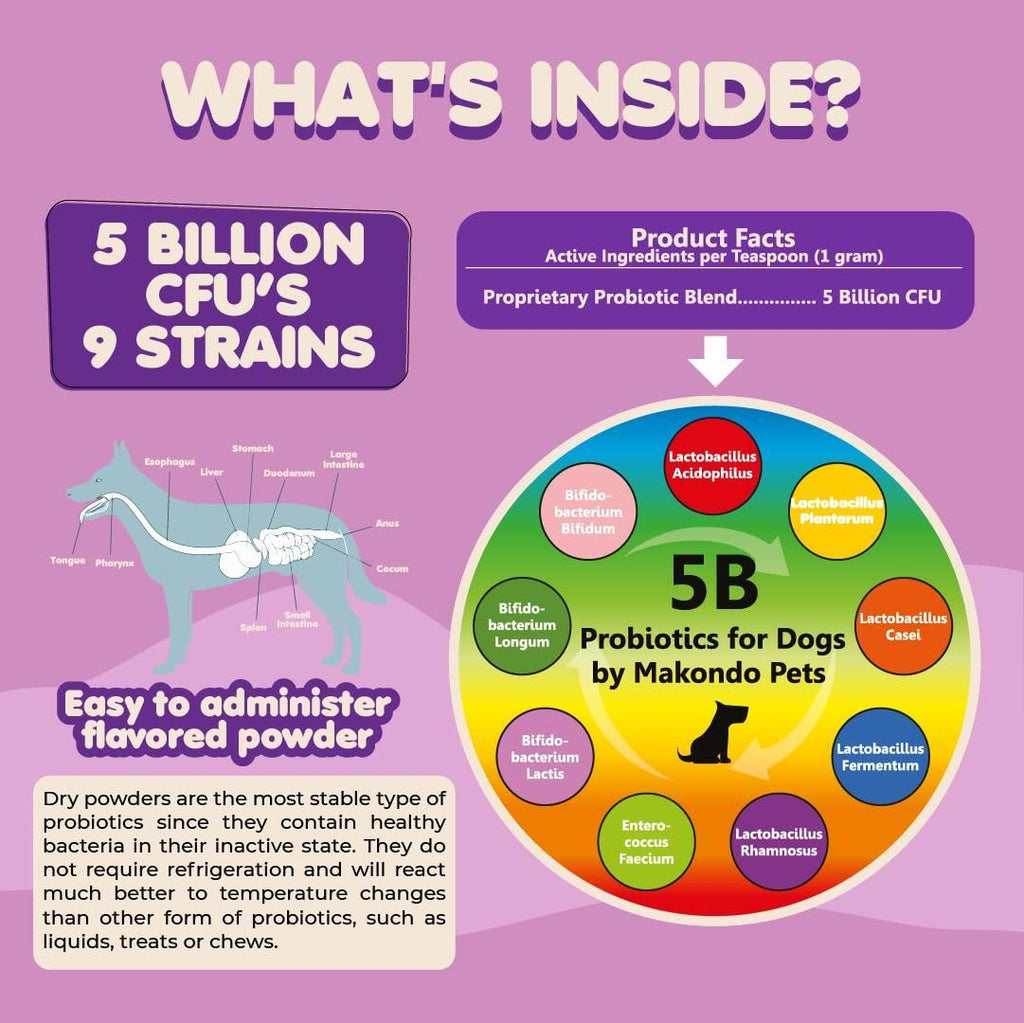 Brandywines Time probiotic powder for puppies with 5 billion CFU and 9 strains, shown in a scoop for pet digestive health.