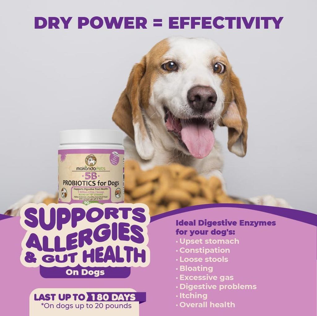 Dog probiotic powder for puppies by Brandywines Time, contains 5 billion CFU and 9 strains for digestive health.