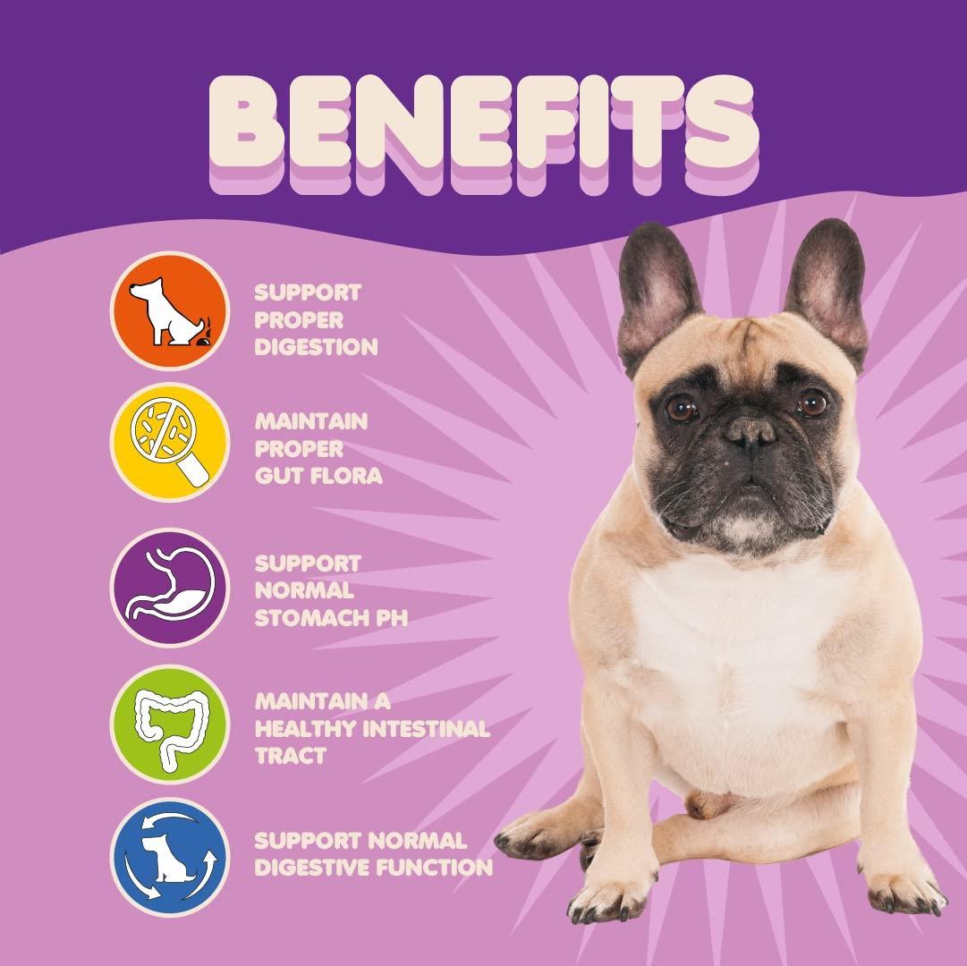 Brandywines Time probiotic powder for puppies with 5 billion CFU and 9 strains, shown in scoop for pet digestive health.