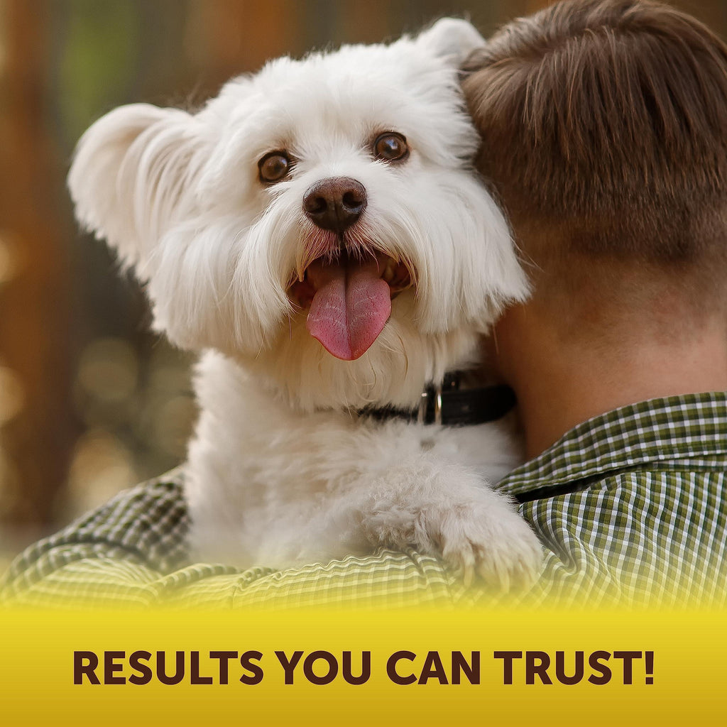 Brandywines Time Dog Anal Gland Chews for scooting relief, soft chews supporting digestion and anal gland health for pets.