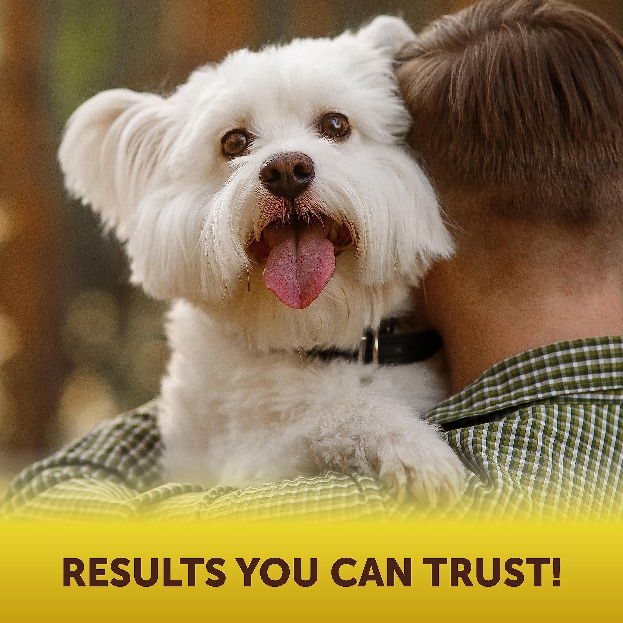 Brandywines Time Dog Anal Gland Chews for scooting relief, soft chews supporting digestion and anal gland health for pets.