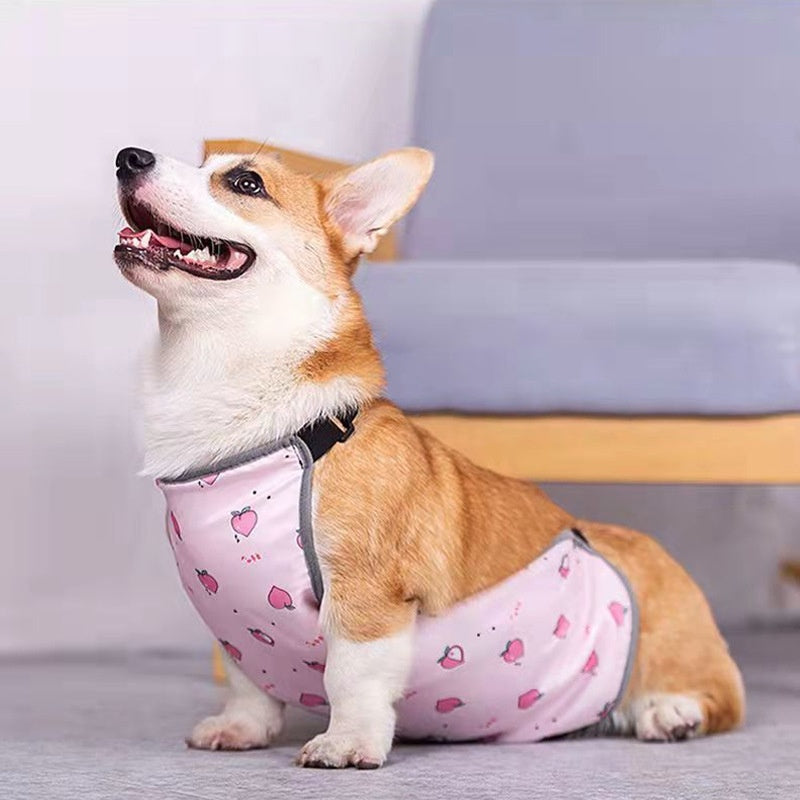 Brandywines Time summer full print pet vest for small dogs in black, lightweight pet apparel with colorful summer design.