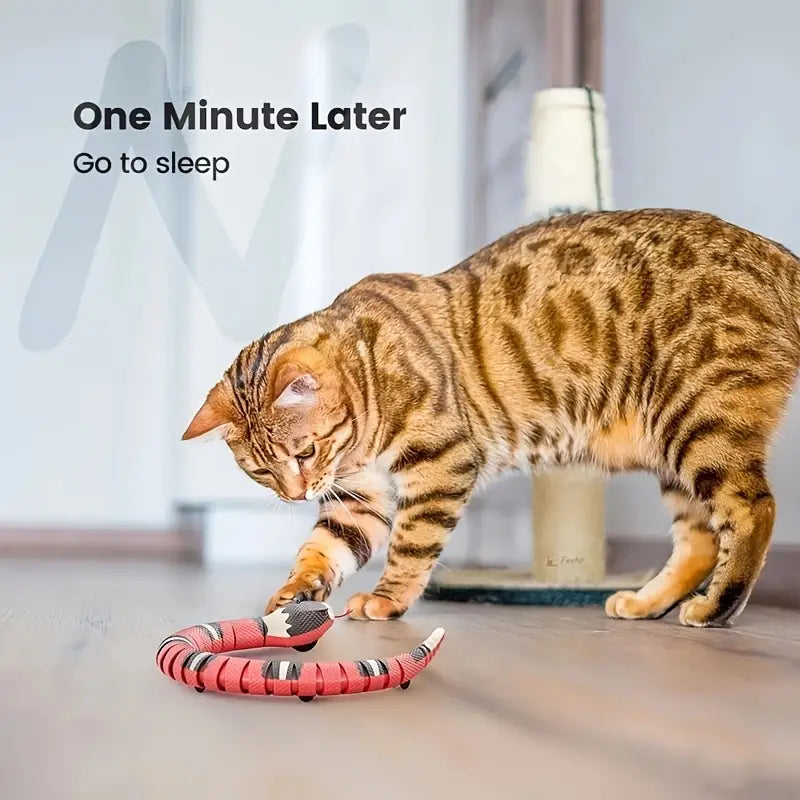 Brandywines Time USB rechargeable interactive snake cat toy for entertainment and playful stimulation.