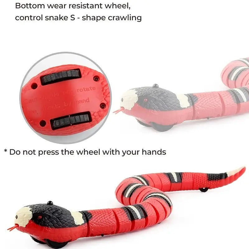 Brandywines Time interactive snake cat toy with USB rechargeable design, small size, and playful movement for feline entertainment.