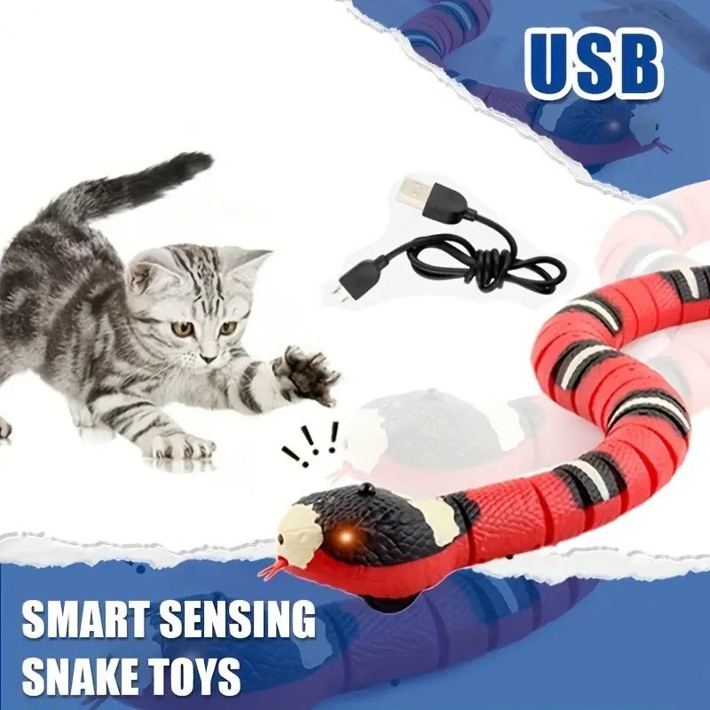 Brandywines Time interactive snake cat toy, USB rechargeable, small size, colorful, designed to entertain cats with movement.