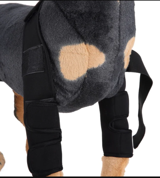 Dog Knee Brace for Injury Recovery | Leg Protector for Optimal Healing