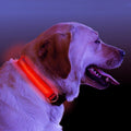 Fuchsia Molly LED light-up dog collar in red, size XL, with bright illumination for visible nighttime walks.