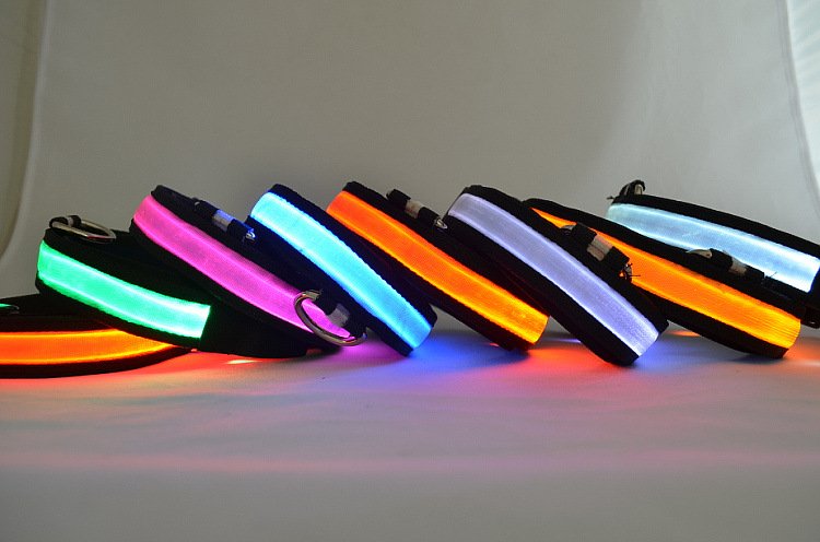 Fuchsia Molly LED Light Up Dog Collar in red, size XL, with illuminated strap for visibility during nighttime walks.