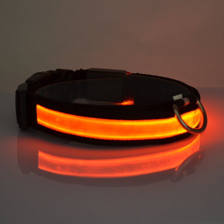 Fuchsia Molly LED light-up dog collar in red, size XL, with bright illumination for visibility and safety during nighttime walks.