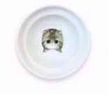 Spine Protection Bowl Holder Cat Food and Water - Ergonomic Design for Comfort