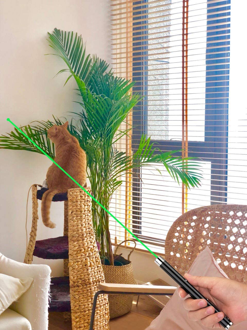 Three packs of Puce Gaia laser pointer pens in green, blue, and red with visible beams, designed as cat toys for interactive play.