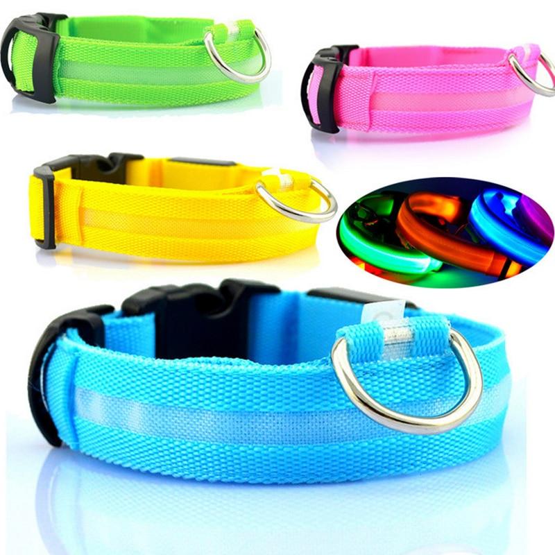 Teal Zeus LED dog collar in large size, rechargeable via USB, featuring bright yellow LED illumination for visibility.