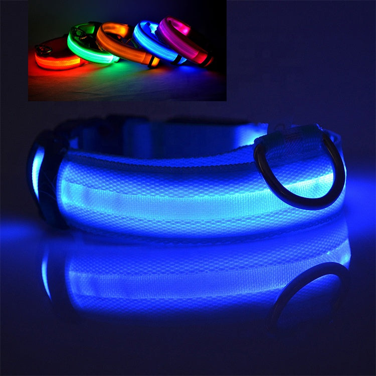 Teal Zeus LED dog collar with bright yellow USB rechargeable light for visibility during nighttime walks.