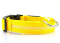 Teal Zeus USB rechargeable LED dog collar in teal with bright yellow light, adjustable for large dogs.