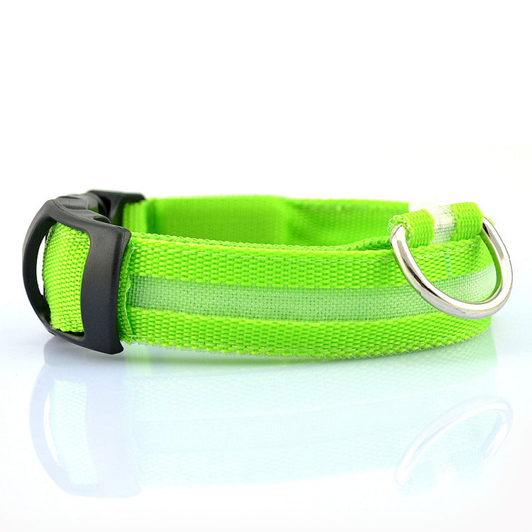 Teal Zeus LED dog collar in teal with yellow accents, USB rechargeable, visible light for nighttime visibility.