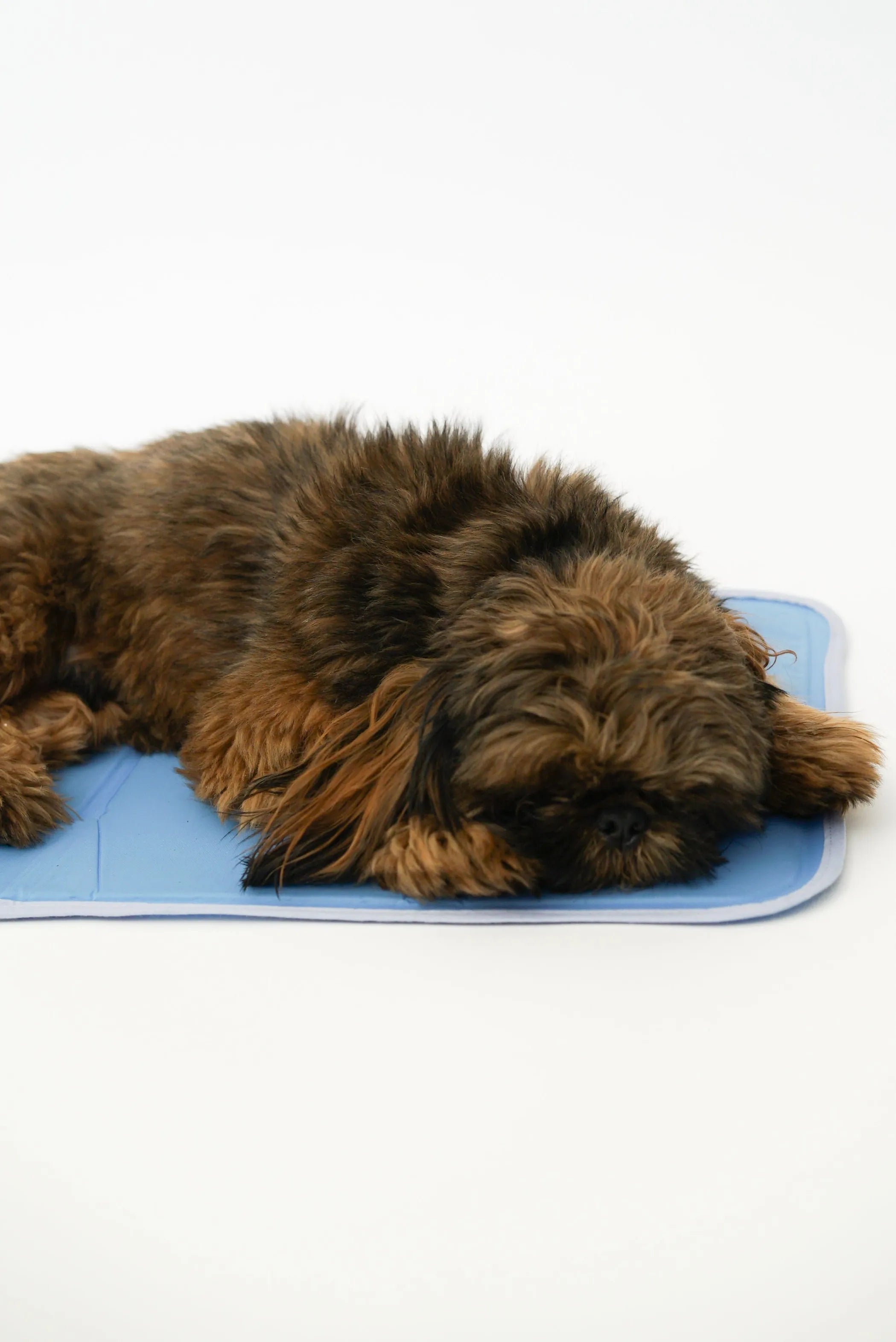 Cool Pet Pad - Brandywines Time