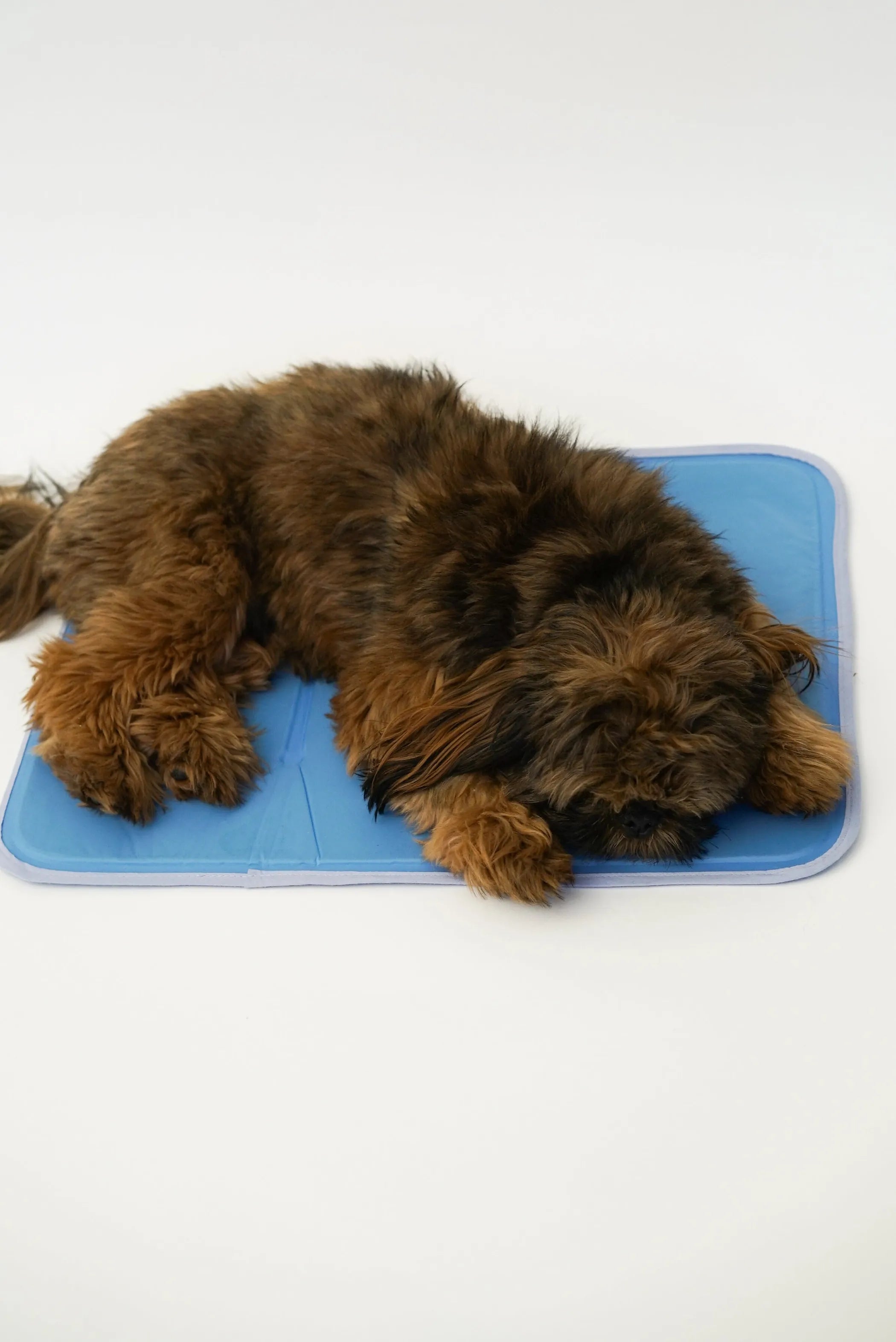 Cool Pet Pad - Brandywines Time