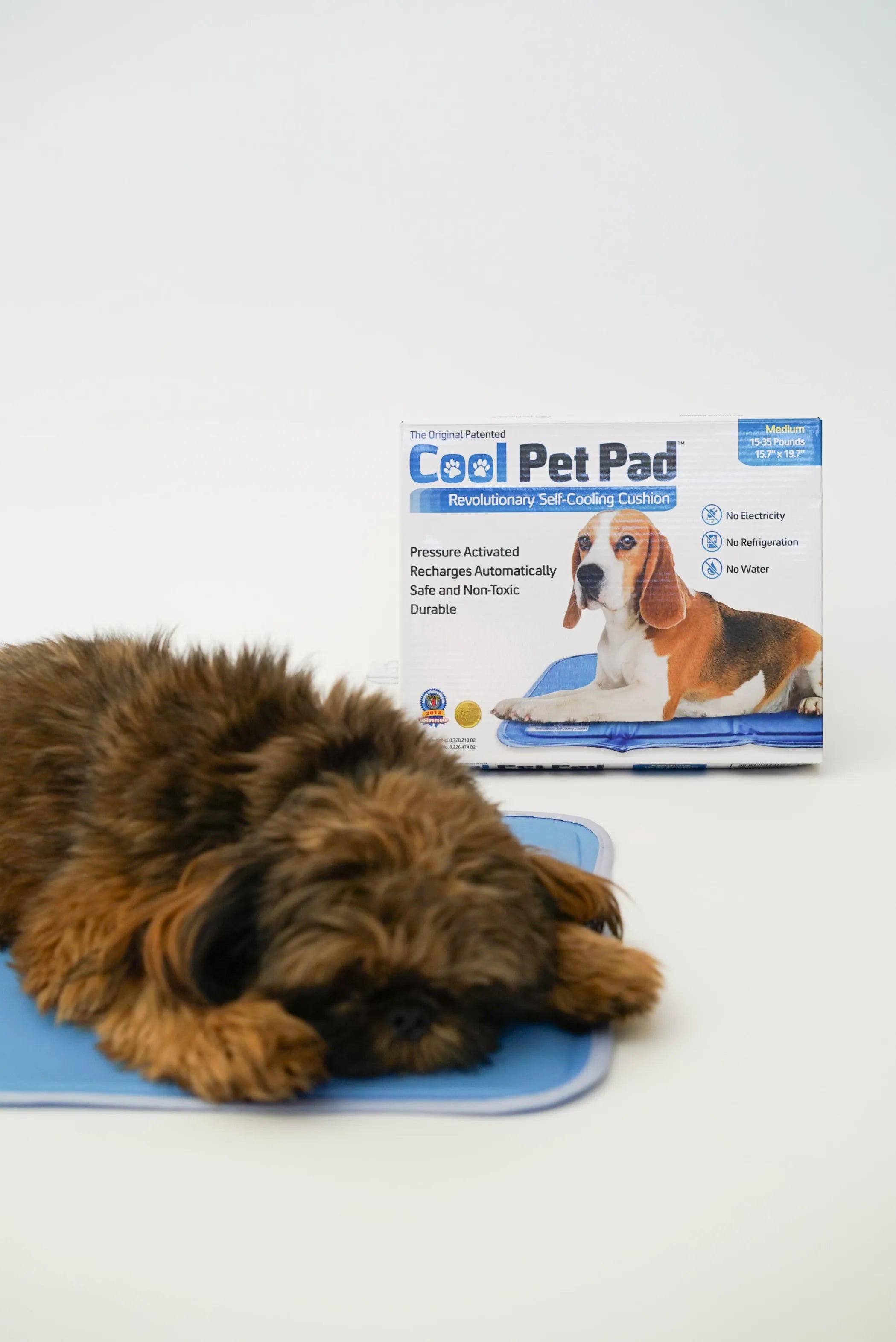 Cool Pet Pad - Brandywines Time