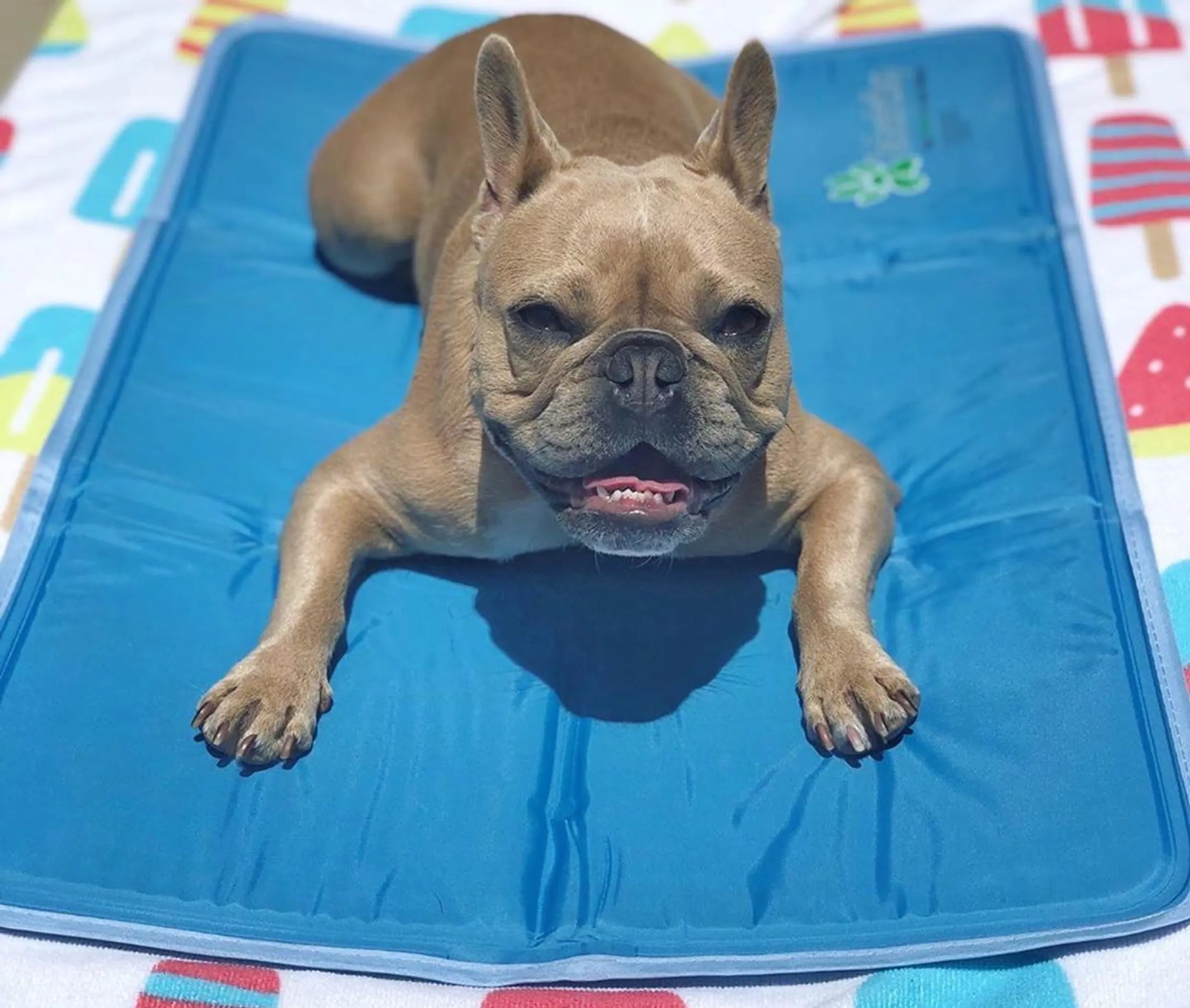 Cool Pet Pad - Brandywines Time