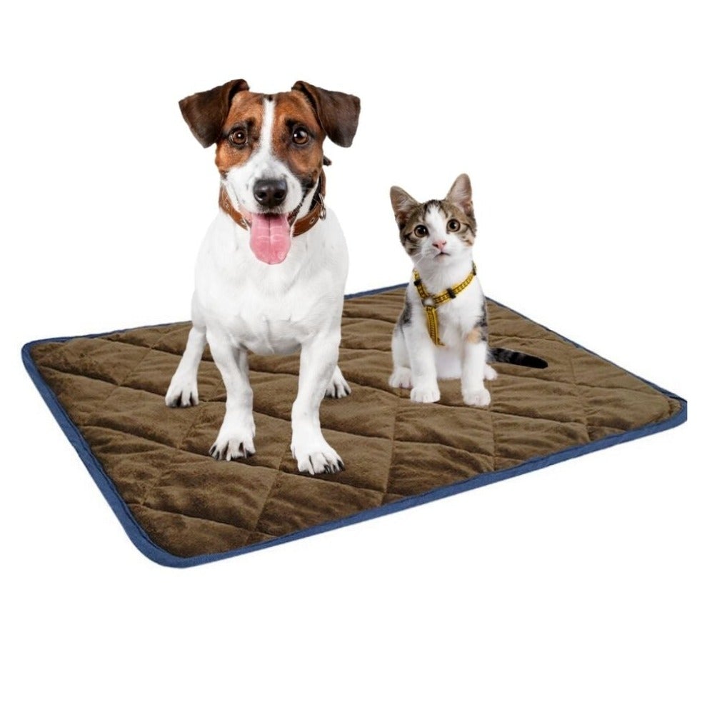 Yellow Pandora self-heating thermal mattress bed for dogs and cats, with soft fabric and cozy design for pet comfort.